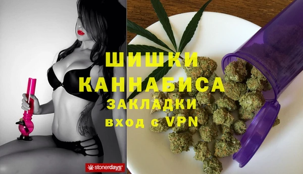 spice Бронницы